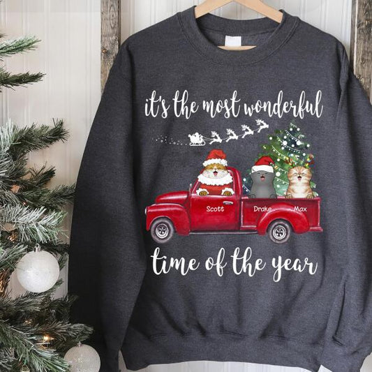 Happy Furry Babies On A Red Truck Personalized Cat T-Shirt TS-PT565