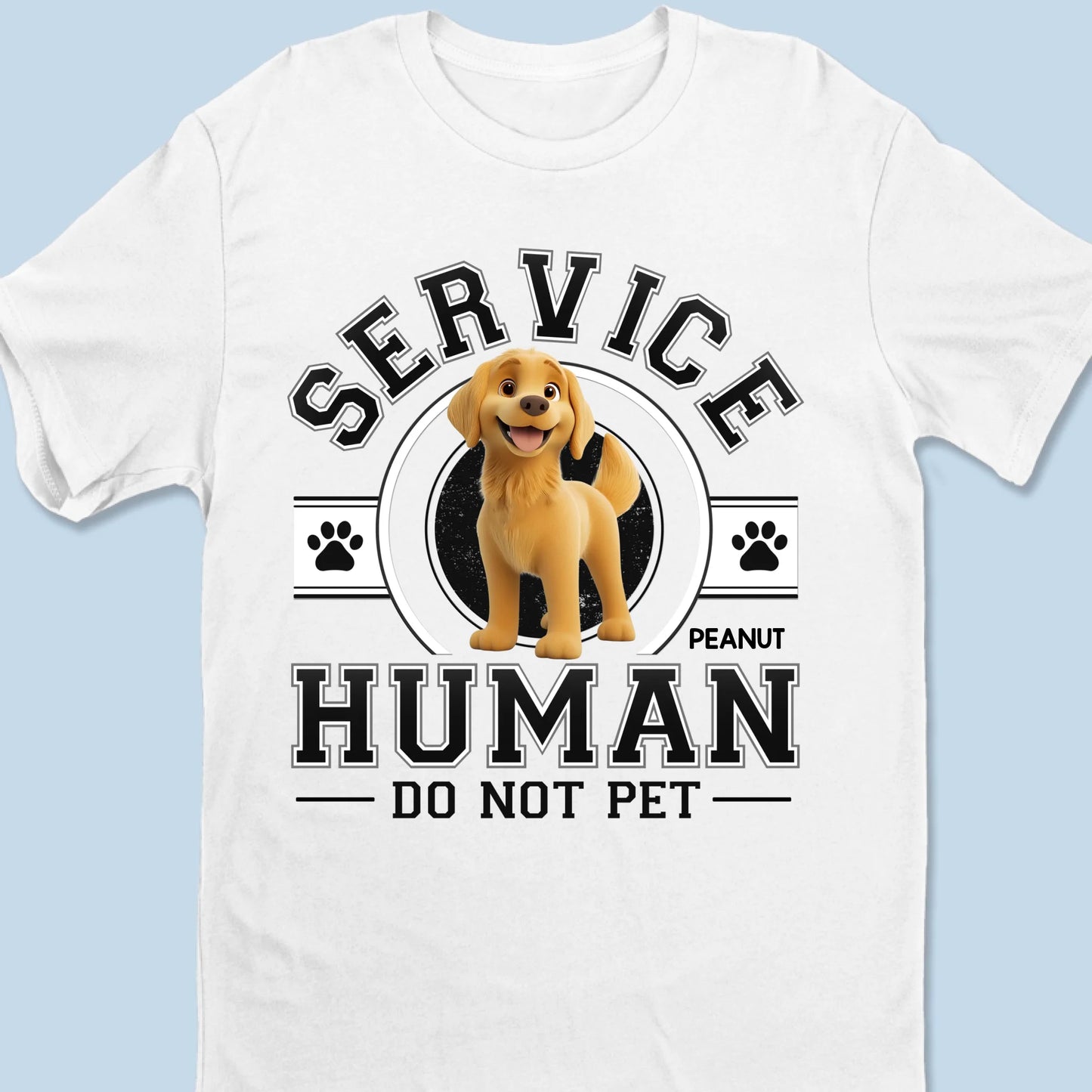67bd4ea6a6ce5_large