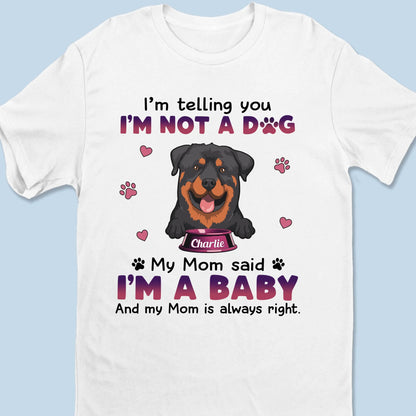 67a4217a9f34e_large